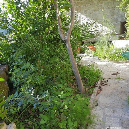 Villa Catarina - Xuresvillas Lobios Zewnętrze zdjęcie